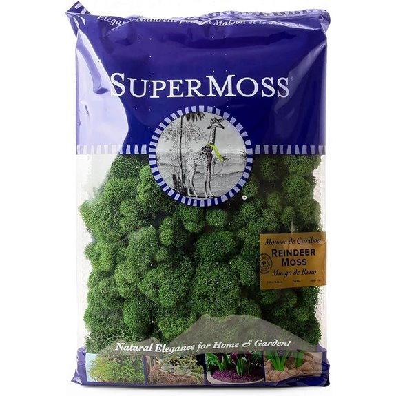 SuperMoss (21757) Reindeer Moss Preserved Forest 8oz (200 cubic inch)