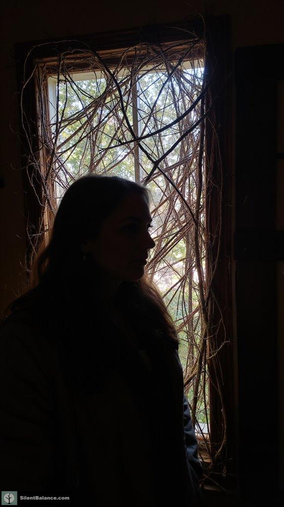 rustic twig wall decor