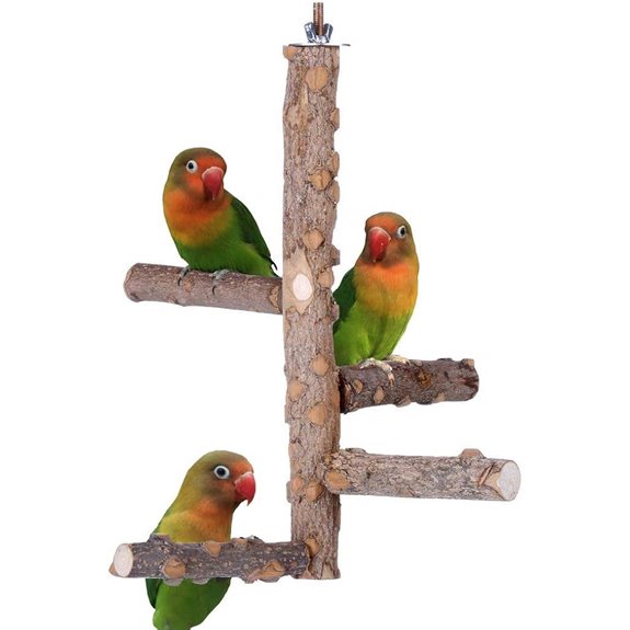 Bird Perch Nature Wood Stand for 3-4pcs Small Medium Parrots (S)