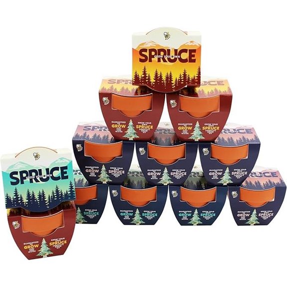 Buzzy Spruce Tree Grow Kit (12-Pack)