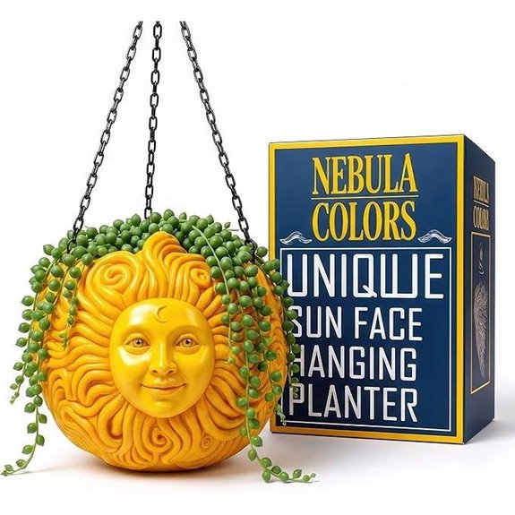 Sun Face Hanging Planter for Indoor & Outdoor Plants