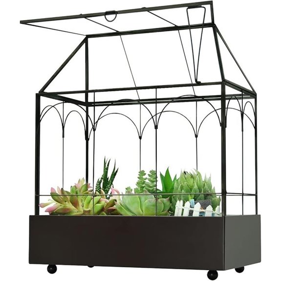 Large Tall Glass Plant Terrarium Kit