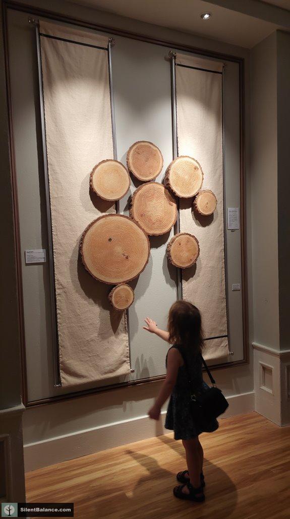 texture rich wall display design