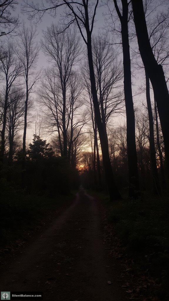 transformative silhouette and space