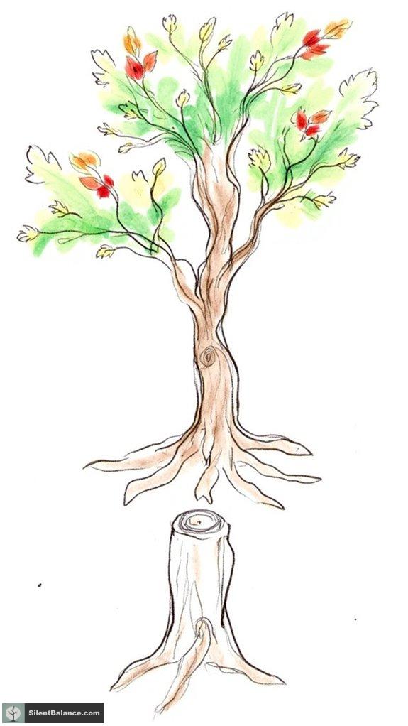 tree as self discovery symbol