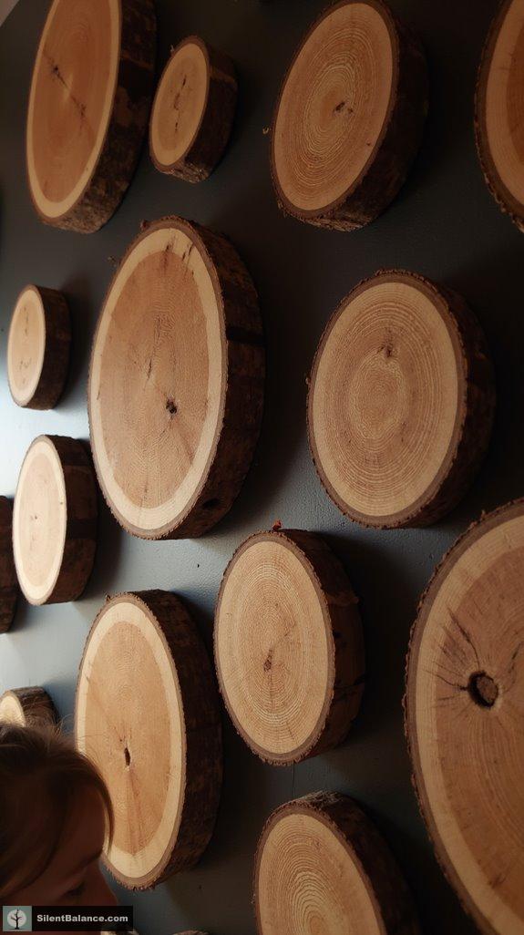 tree rings tell stories