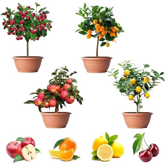 200+ Fruit Tree Seeds Mix – Dwarf Organic & Heirloom