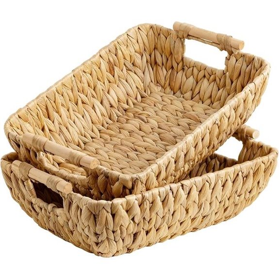 StorageWorks Water Hyacinth Baskets with Handles (2-Pack)