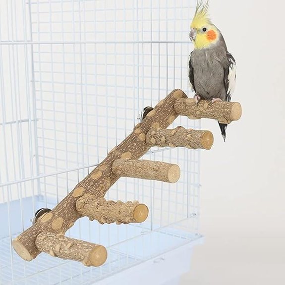 Natural Wood Bird Perch and Ladder for Small Animals